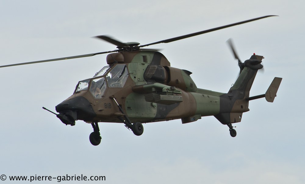 tigre_4200.jpg
