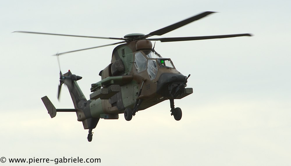 tigre_4222.jpg