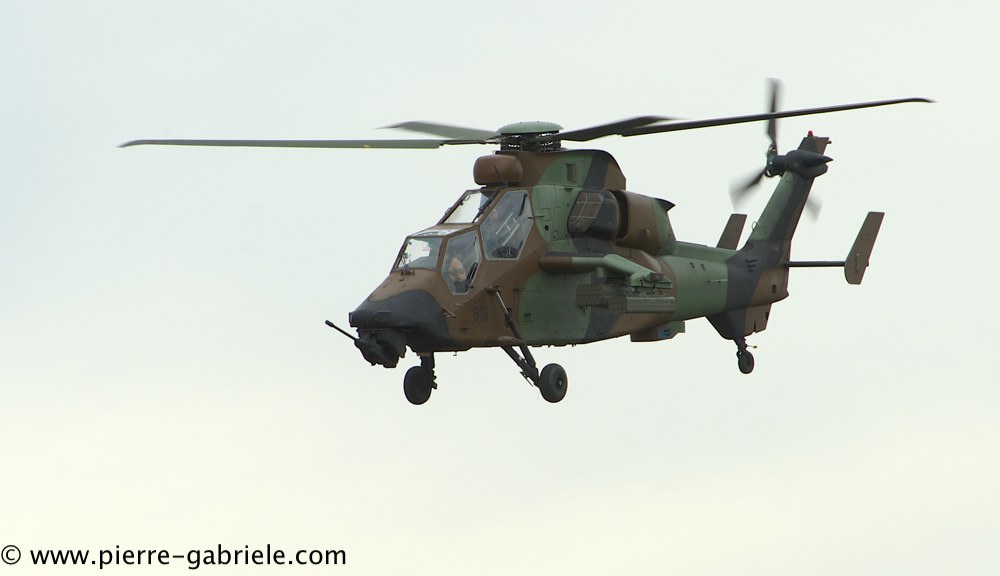 tigre_4224.jpg
