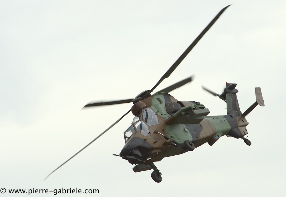 tigre_4233.jpg