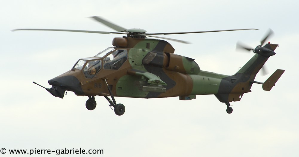 tigre_4235.jpg
