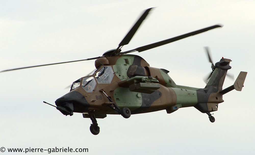 tigre_4244.jpg