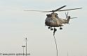 sa330-puma_4206