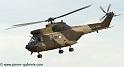 sa330-puma_4214