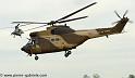 sa330-puma_4231
