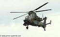 tigre_4217