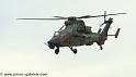 tigre_4224