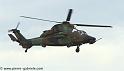 tigre_4227