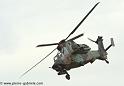 tigre_4233