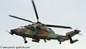 tigre_4237