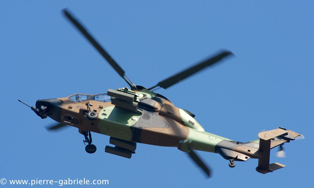 ec665-tigre_3858.jpg