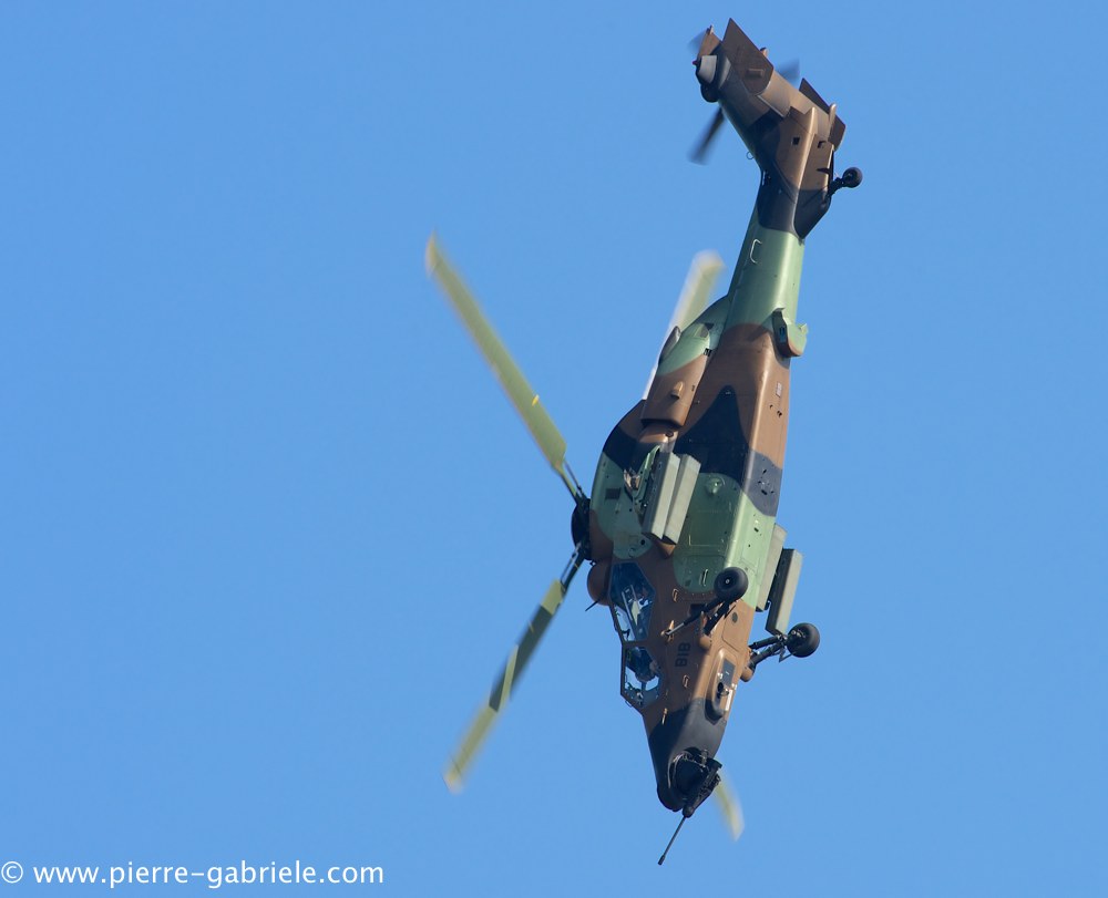 ec665-tigre_3861.jpg