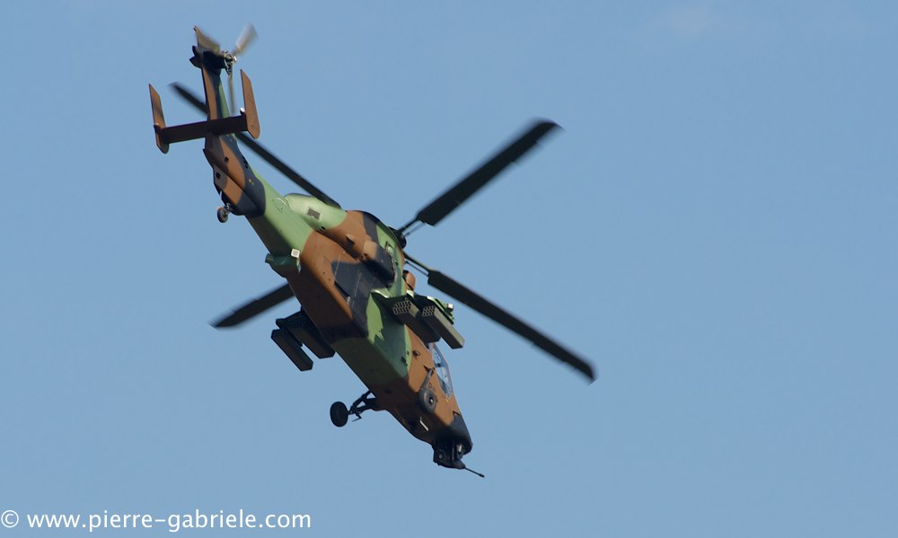 ec665-tigre_3863.jpg