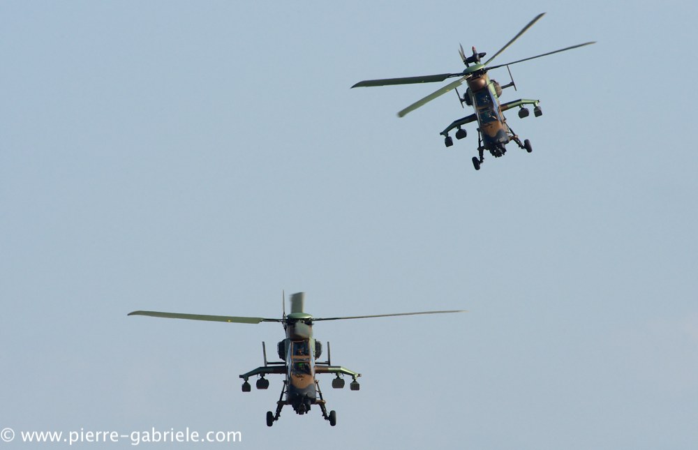ec665-tigre_3864.jpg