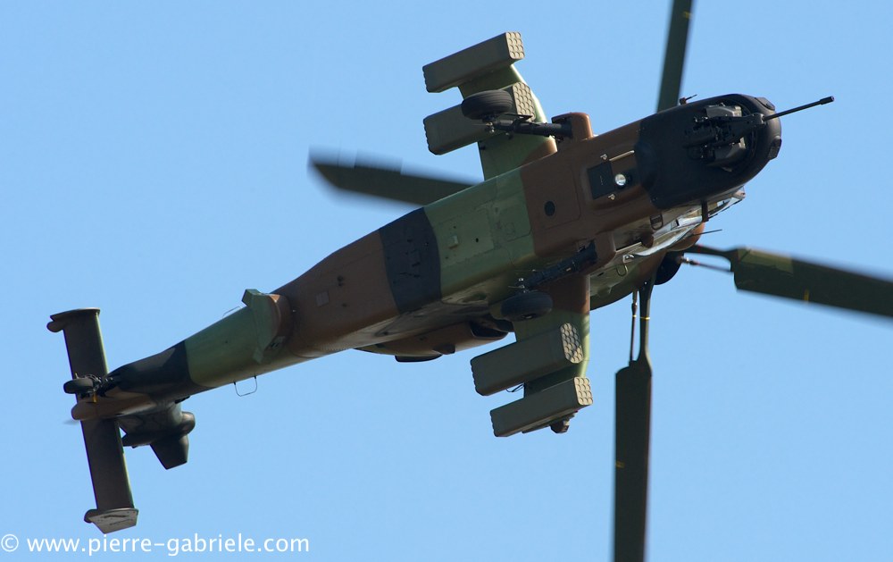 ec665-tigre_3868.jpg