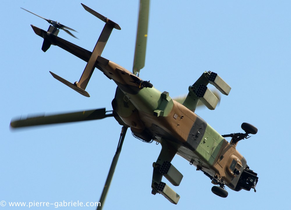 ec665-tigre_3869.jpg