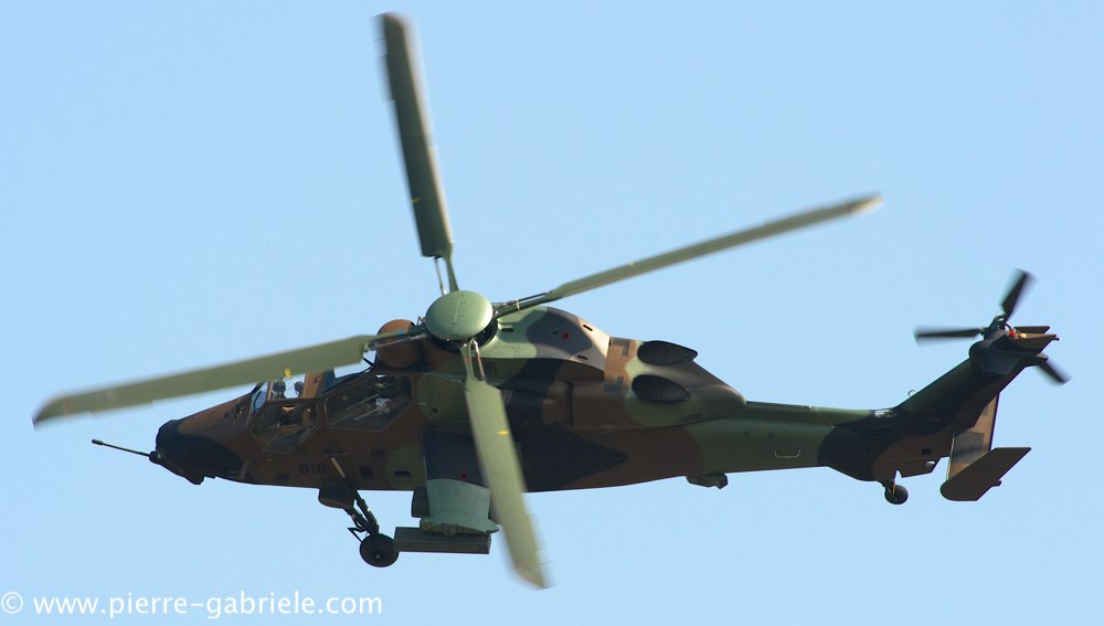 ec665-tigre_3871.jpg