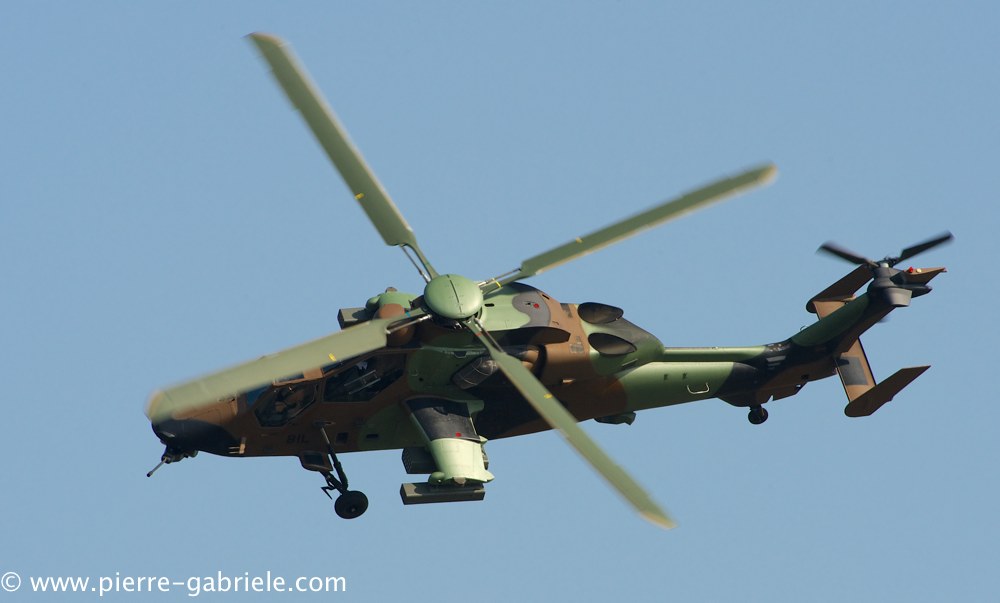 ec665-tigre_3873.jpg