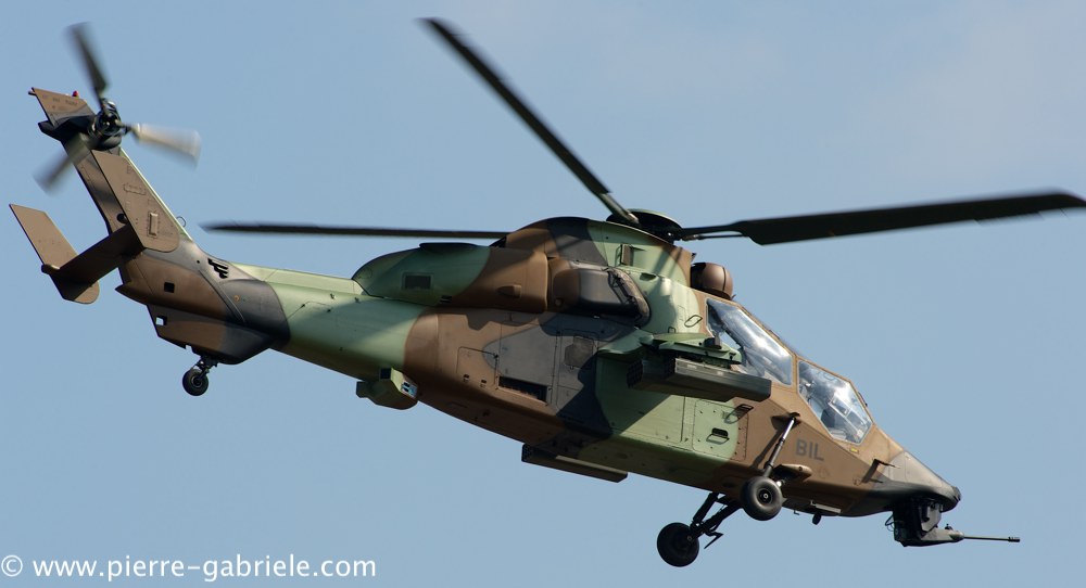 ec665-tigre_3875.jpg