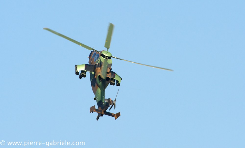 ec665-tigre_3887.jpg