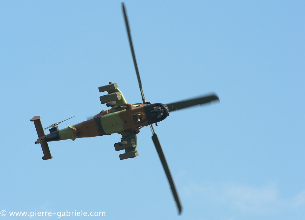 ec665-tigre_3889.jpg