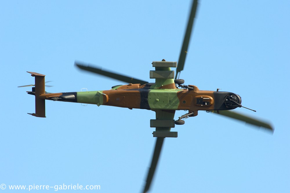 ec665-tigre_3890.jpg