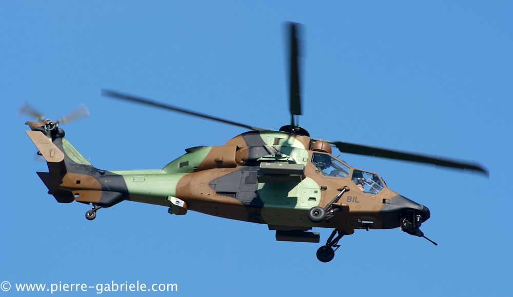 ec665-tigre_4049.jpg