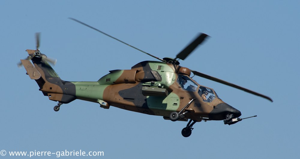 ec665-tigre_4054.jpg