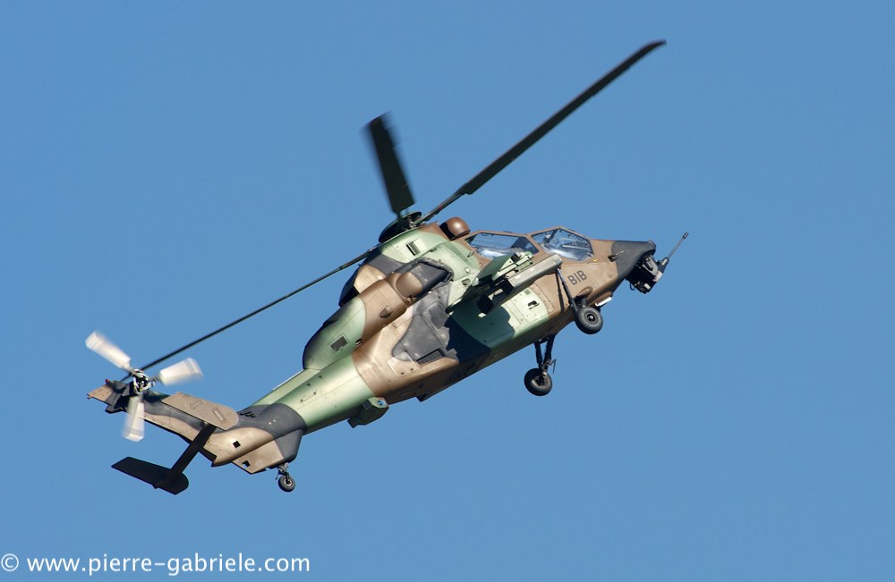 ec665-tigre_4056.jpg