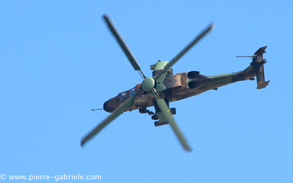 ec665-tigre_4058.jpg