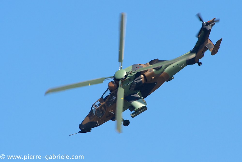 ec665-tigre_4059.jpg
