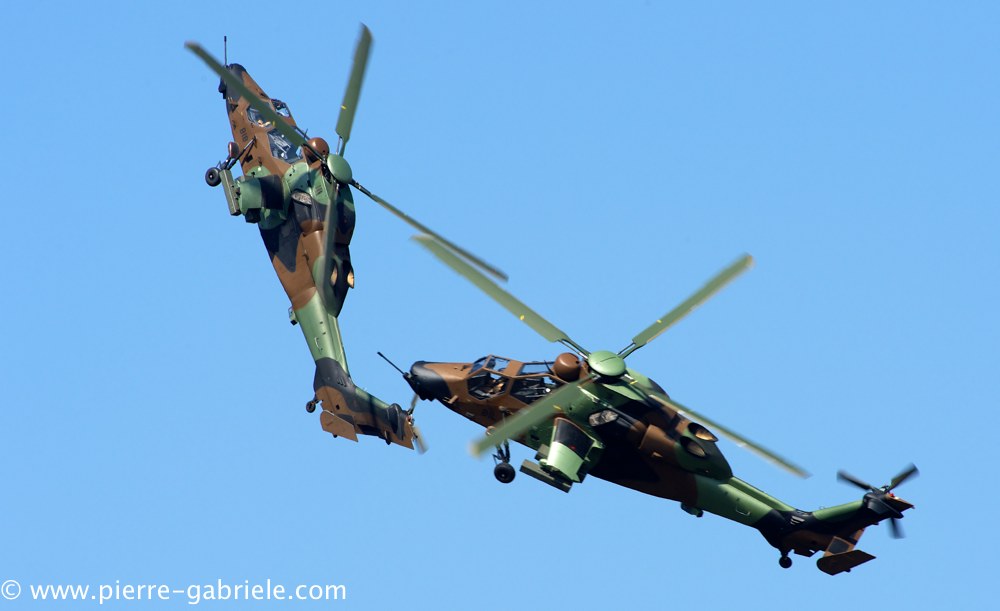 ec665-tigre_4061.jpg