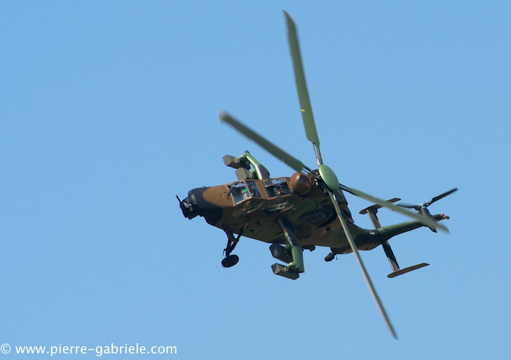 ec665-tigre_4069.jpg