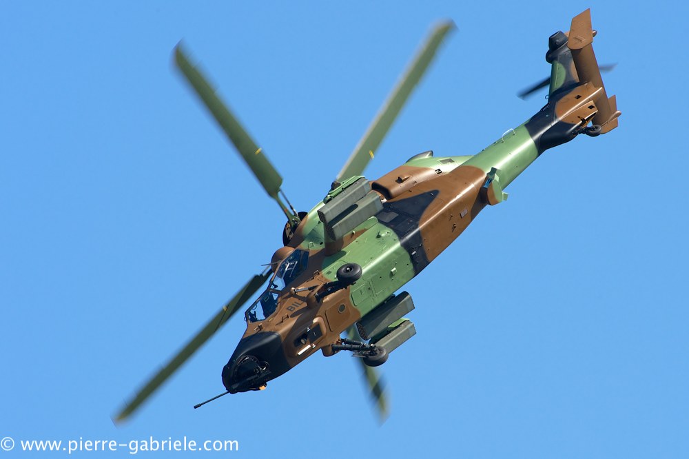 ec665-tigre_4076.jpg