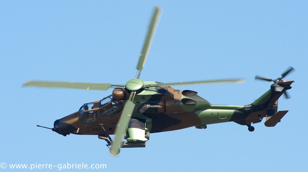 ec665-tigre_4077.jpg