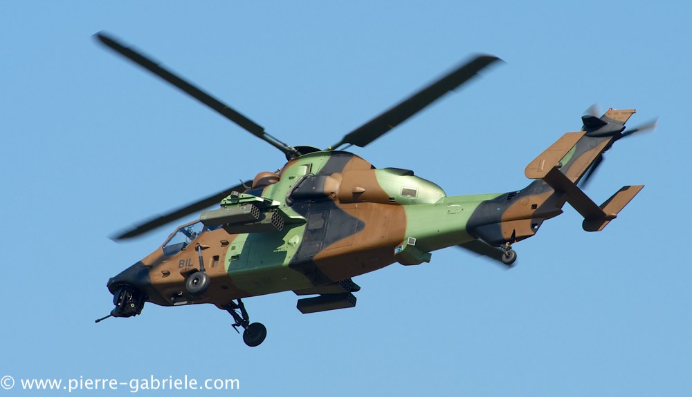 ec665-tigre_4079.jpg