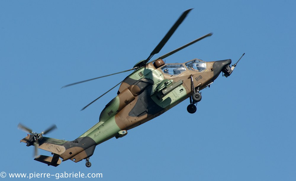 ec665-tigre_4080.jpg