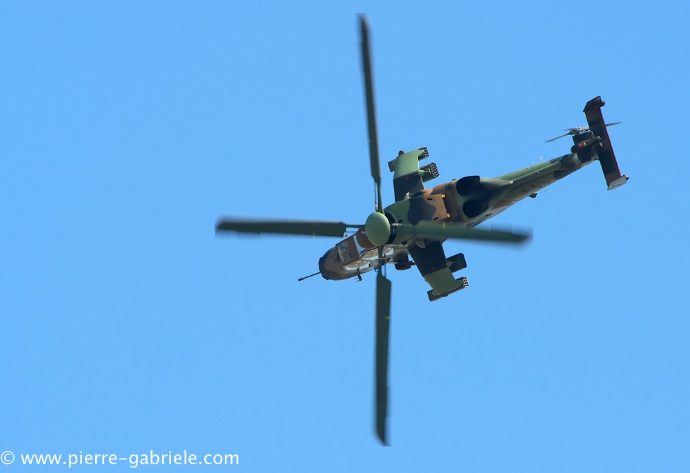 ec665-tigre_4082.jpg