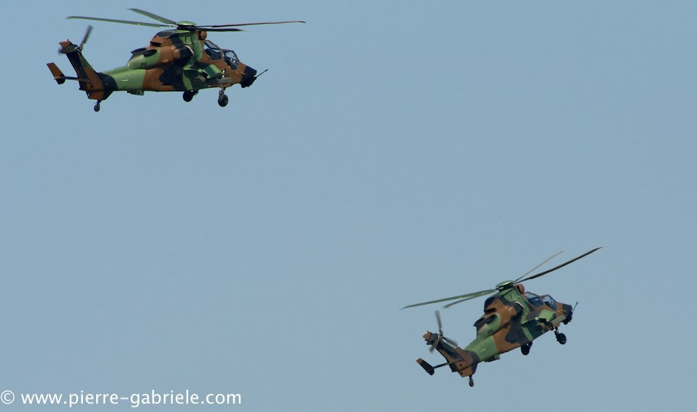 ec665-tigre_4085.jpg