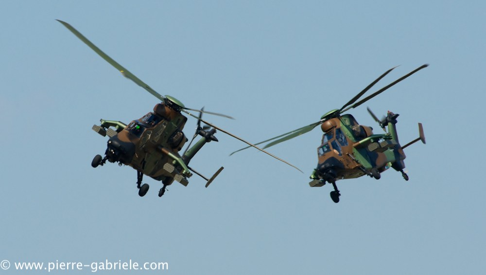 ec665-tigre_4090.jpg
