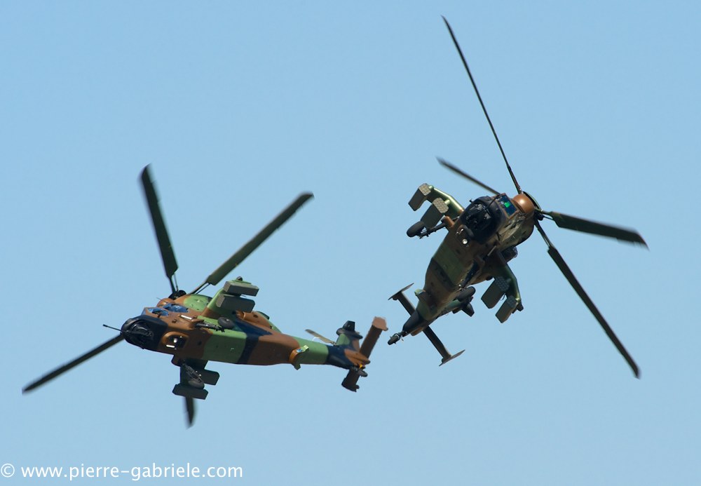 ec665-tigre_4092.jpg