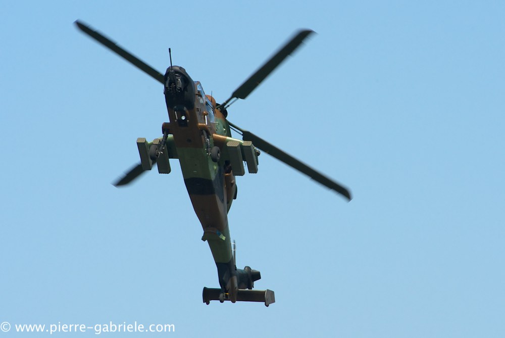 ec665-tigre_4093.jpg