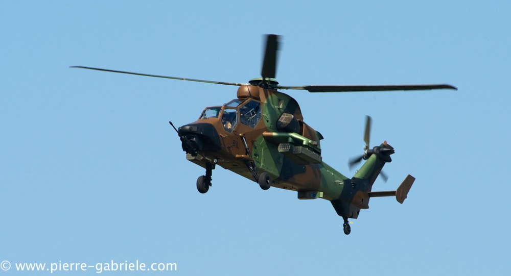ec665-tigre_4094.jpg