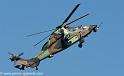 ec665-tigre_4080