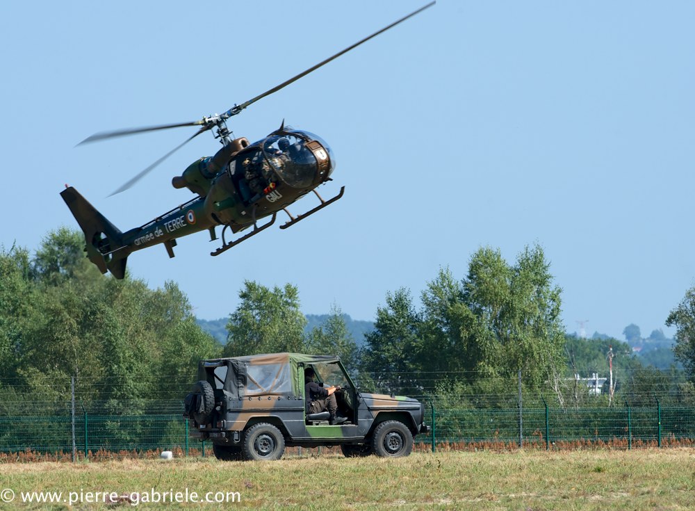 interception-gazelle_3983.jpg