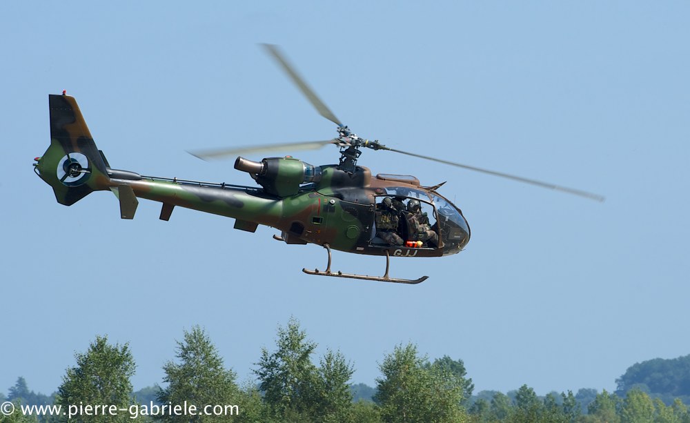 interception-gazelle_3988.jpg