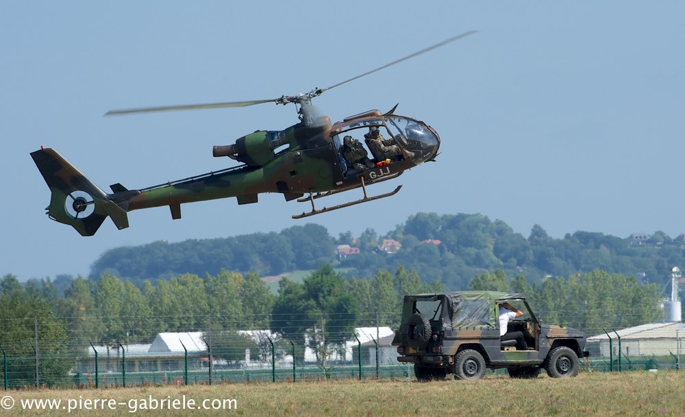 interception-gazelle_3989.jpg