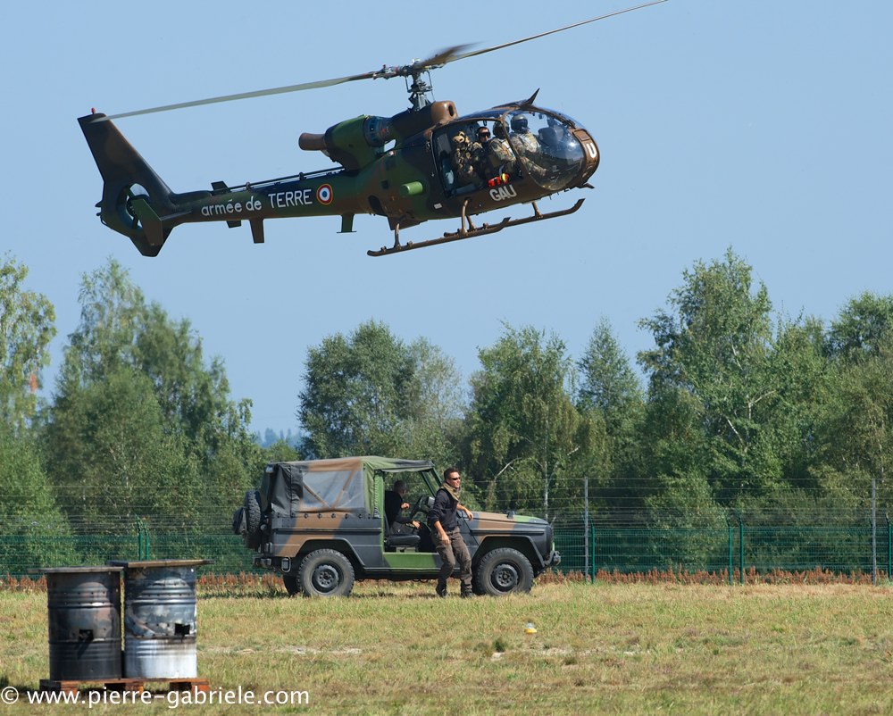 interception-gazelle_3994.jpg