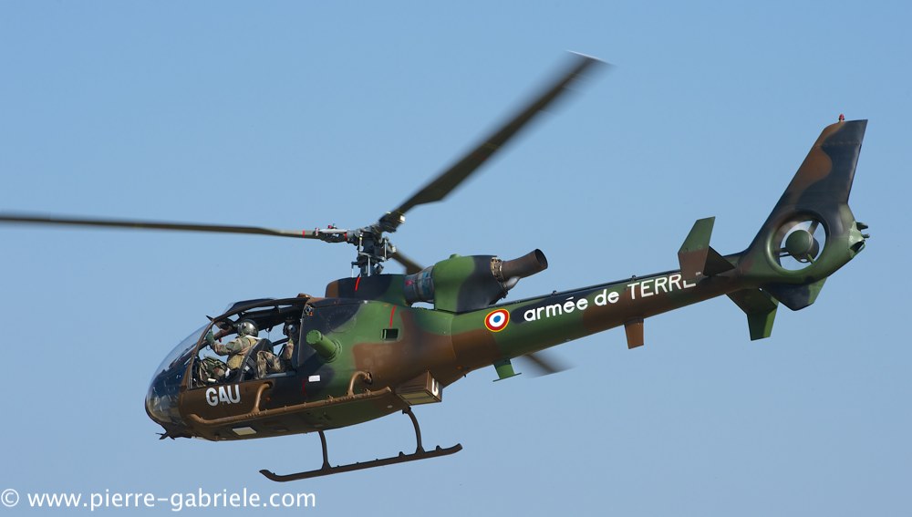 interception-gazelle_3996.jpg
