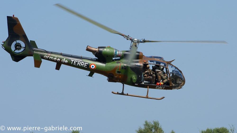 interception-gazelle_3997.jpg